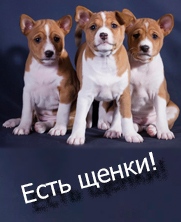 Подробнее